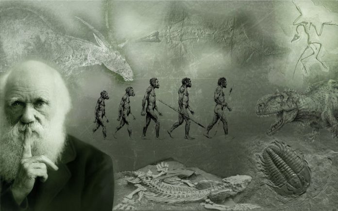 Charles Darwin Accadde Oggi 12 febbraio, nel 1809 nasceva Charles Darwin: Biografia 2