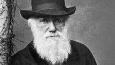 Photo of Darwin Day 2017 a Trieste : programma eventi