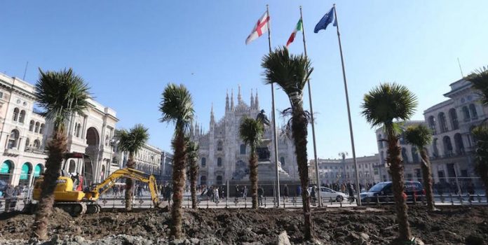 Palme in Piazza del Duomo a Milano Milano, palme e banani in Piazza Duomo (foto) 1