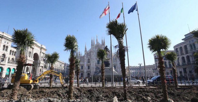 Milano, palme e banani in Piazza Duomo (foto) 1