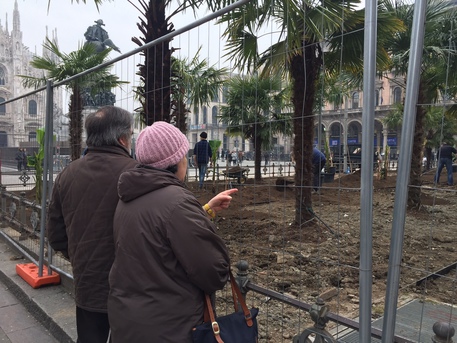 Banani in Piazza Duomo a Milano (Video)