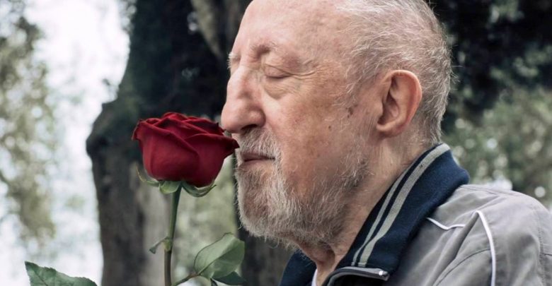 Chi salverà le rose? Trama, Cast e Uscita