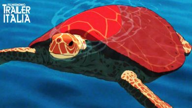 Photo of La Tartaruga Rossa: Trama, Uscita e Trailer