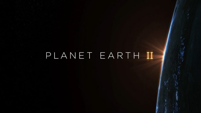 planet-earth-documentario Planet Heart stasera su Rete 4, seconda puntata