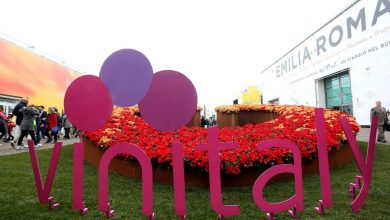 Photo of Vinitaly 51esima edizione: Info, Date e Costi