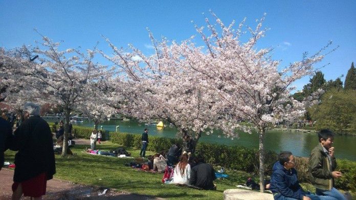 25 aprile 1