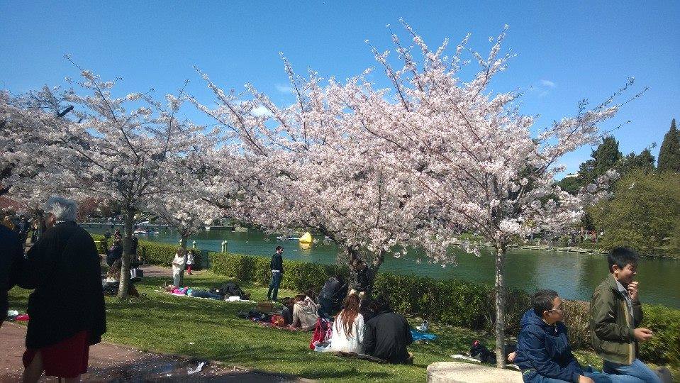 25 aprile 1