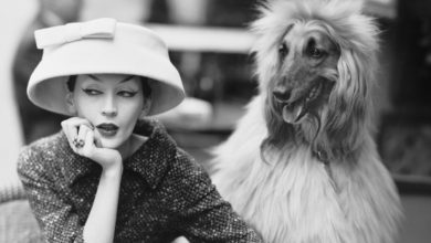 Photo of Balenciaga in Mostra al Victoria & Albert Museum: le Date