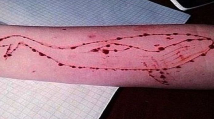 Blue Whale, il gioco folle che spinge i giovani al suicidio