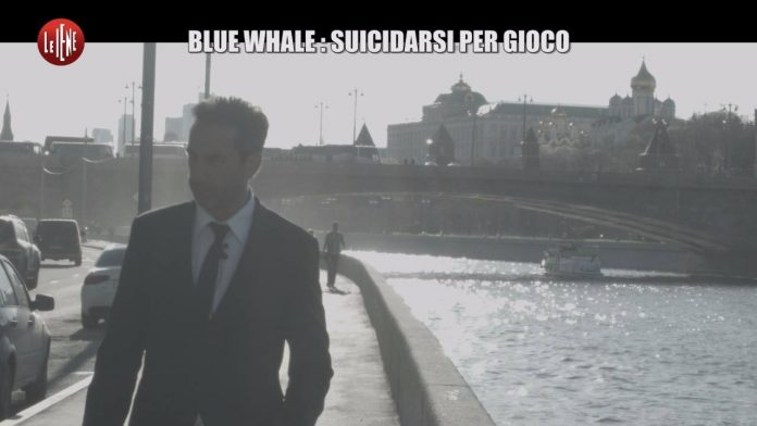 blue-whale-le-iene