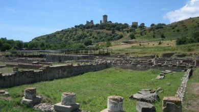 Photo of Scavi di Velia riaperti dopo l’incendio: l’area bassa torna visitabile