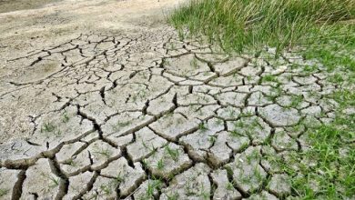 Photo of Roma senza Acqua: Acea indagata per reato ambientale