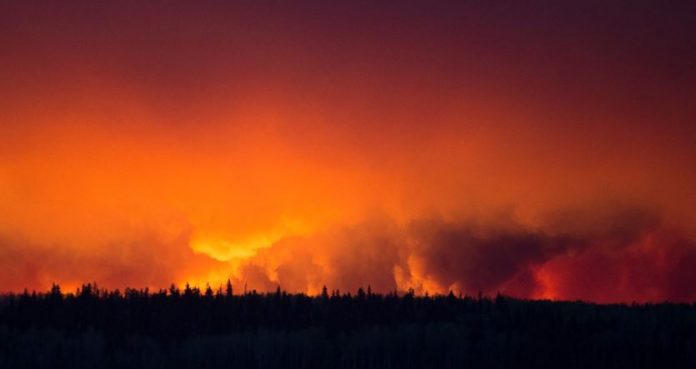 Incendi Canada Usa