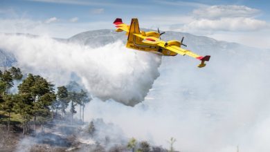 Photo of Incendi in Sicilia: la Regione proclama lo stato di calamità