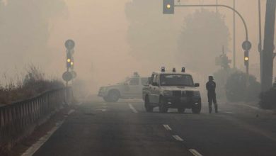 Photo of Incendio Castel Fusano, piromane arrestato: opera della criminalità organizzata?