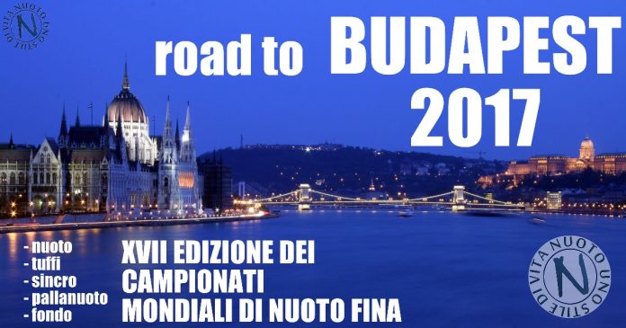 mondiali nuoto - fondo - tuffi - pallanuoto - sincronizzato