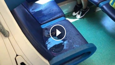 Photo of Trenitalia Cilento, piove nel treno delle vacanze (Video)
