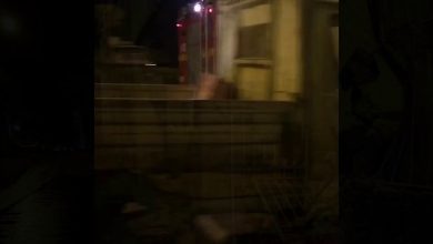 Photo of Terremoto ad Ischia | Video