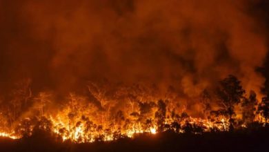 Photo of Uragano Ophelia in Spagna e Portogallo: emergenza incendi