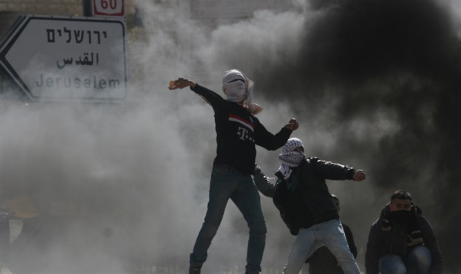 manifestanti palestina