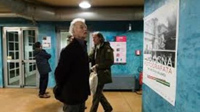 Photo of Wes Anderson, Bill Murray, Roman Coppola e Jason Schwartzman a Bologna