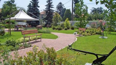 Photo of Giardini terapeutici in Italia e ortoterapia: Curare con la natura.