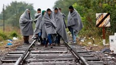 Photo of Arrestato migrante con il passaporto Ue in Ungheria