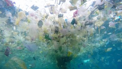 Photo of Indonesia, mare inquinato dalla plastica (FOTO)