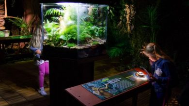 Photo of ”Poison – Il potere del veleno” a Palazzo Fondi a Napoli: Date e Biglietti