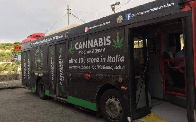 bus marjuana