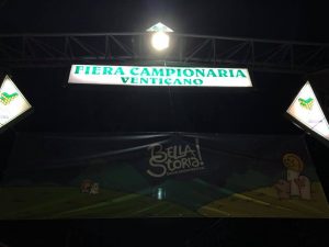 Bellastoria festival