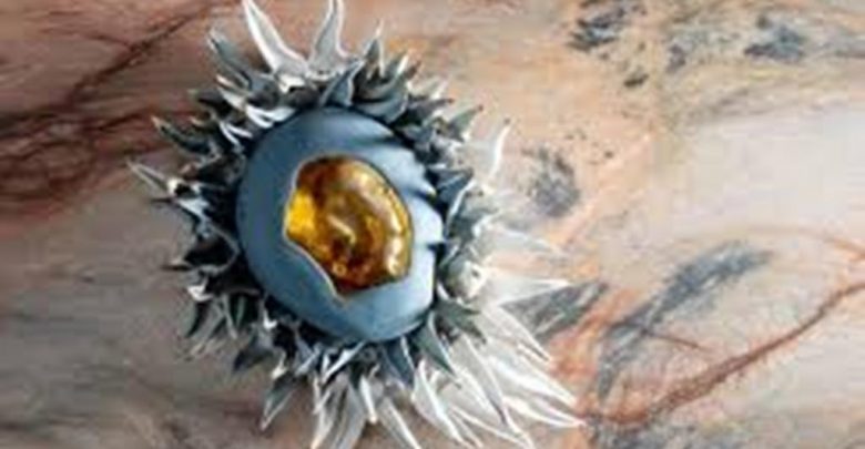 materiametamorphosis