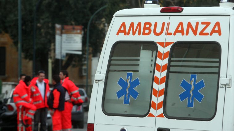 veterinario-belluno-ucciso-toro