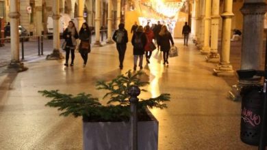 Photo of Albero di Natale a Bologna rubato come a Napoli