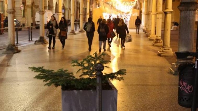 albero di natale bologna