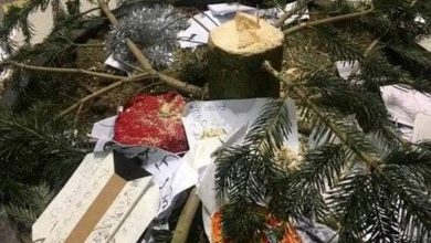 Photo of Albero di Natale nella Galleria Umberto a Napoli rubato oggi (Foto)