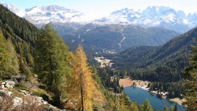 Photo of Cosmetica LefKos: le creme naturali che nascono dall’acqua delle montagne trentine