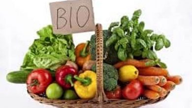 Photo of L’importanza dell’alimentazione biologica per uno stile di vita sano ed equilibrato