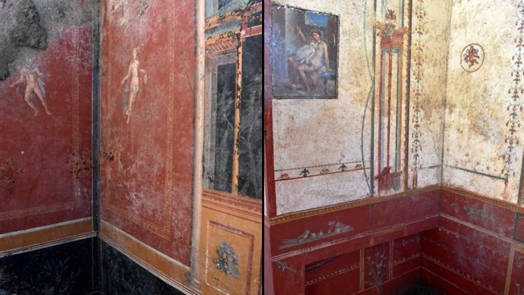 stanza di leda pompei