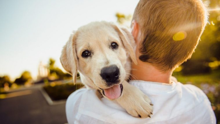 pet week Milano 2019