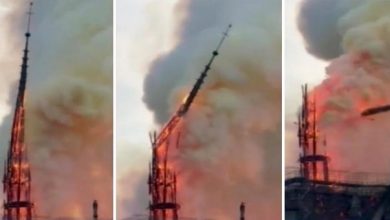 Photo of Incendio Notre Dame, crolla la guglia della cattedrale di Parigi (Video)
