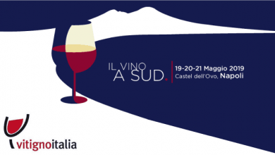 Photo of Vitigno Italia 2019, il successo del XV Salone dei Vini a Napoli