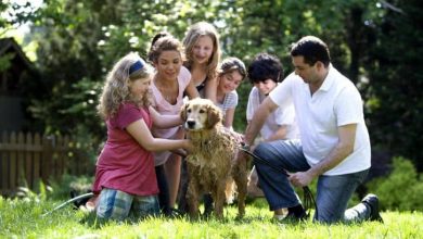 Photo of Adottare un animale: tutti i benefici di avere in casa cani, gatti e non solo