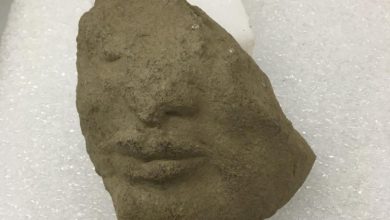 Photo of Ritrovamenti scavi di Paestum: Scoperto frammento di scultura