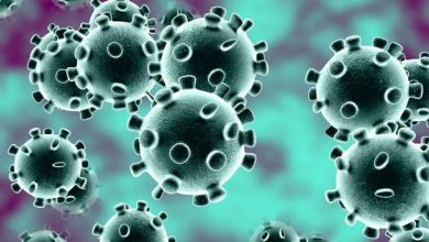 Photo of Pandemia Coronavirus, cosa succede? Le nuove regole