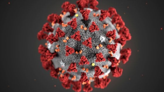 isolato il coronavirus