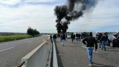 Photo of Ultras del Bari, aggressione ai leccesi: pulmini incendiati