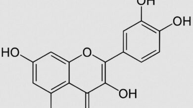 Photo of Cos’è la Quercetina? Proprietà e alimenti che la contengono