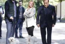 Photo of Cosa è successo tra Meloni, Berlusconi e Salvini? Il retroscena di “Dagospia”