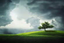 Photo of Svolta Green nel mondo dei casinò, ecco come
